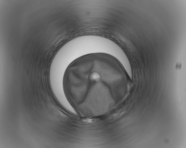 X0000091330558200709071159