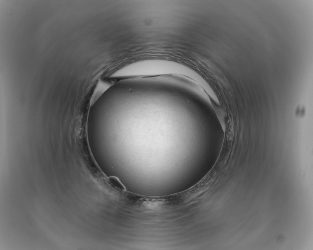 X0000091330560200709071159