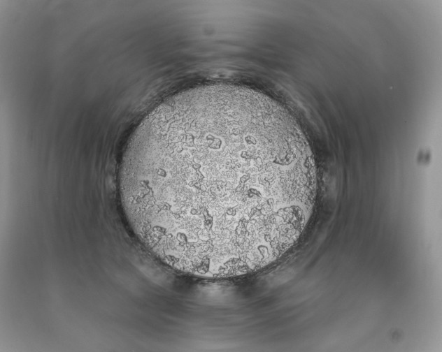 X0000091330561200709071159