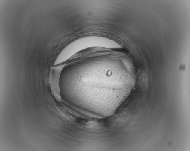 X0000091330562200709071159