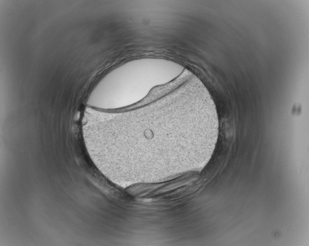 X0000091330564200709071159