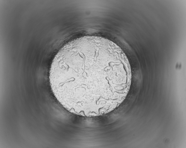 X0000091330565200709071159