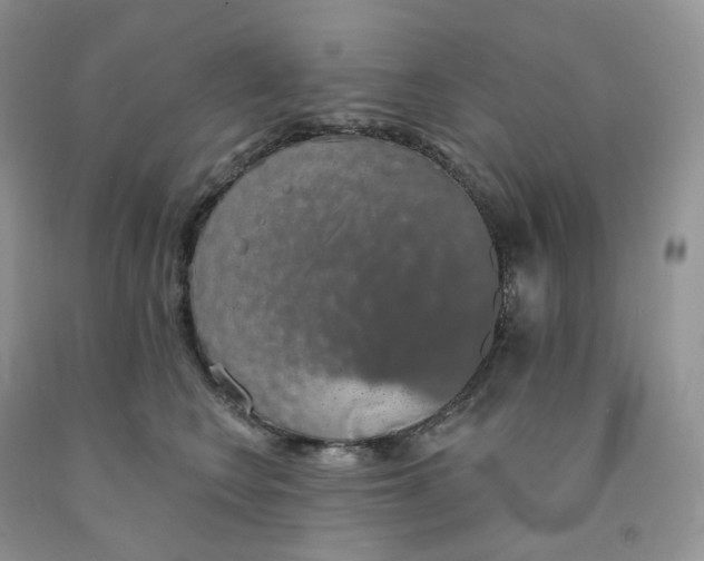 X0000091330566200709071159