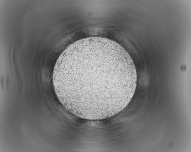 X0000091330569200709071159