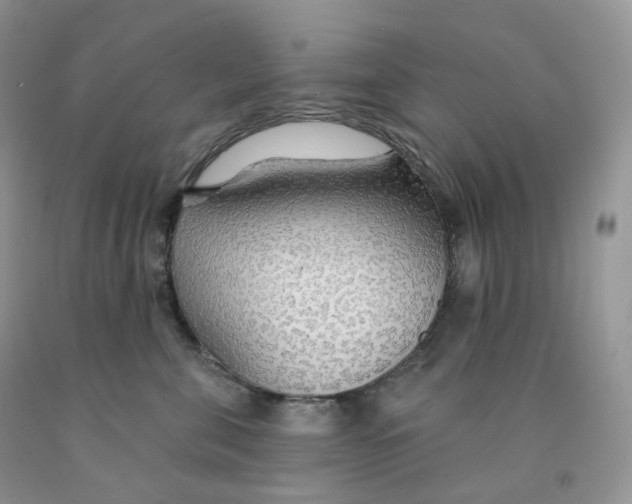 X0000091330571200709071159
