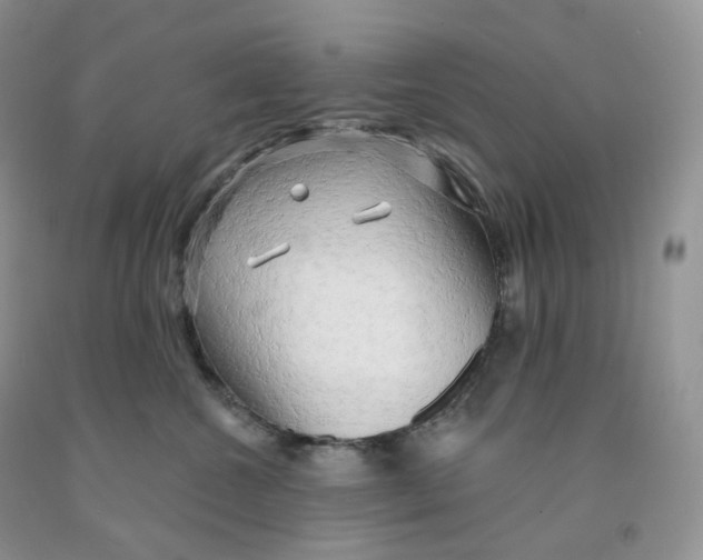 X0000091330572200709071159