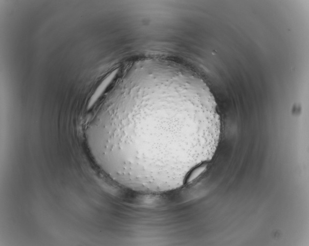 X0000091330575200709071159