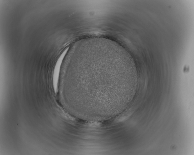 X0000091330576200709071159