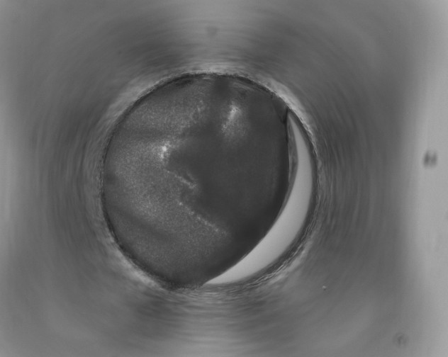 X0000091330577200709071159