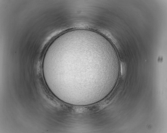 X0000091330579200709071159