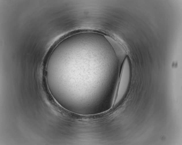 X0000091330580200709071159