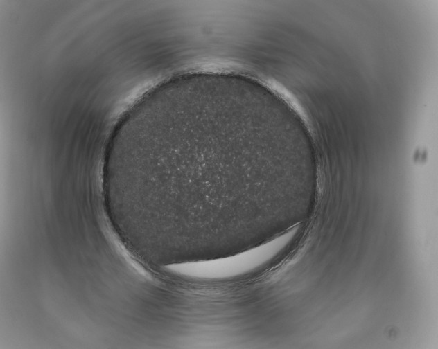 X0000091330581200709071159