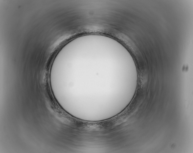 X0000091330583200709071159