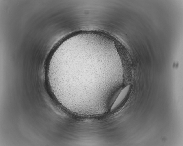 X0000091330584200709071159