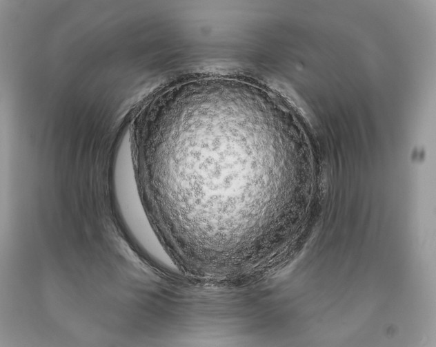 X0000091330585200709071159
