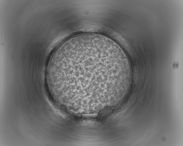 X0000091330586200709071159