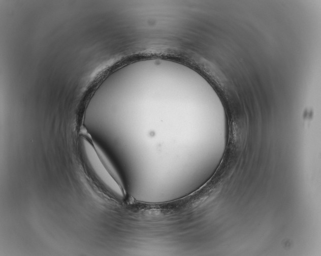 X0000091330588200709071159