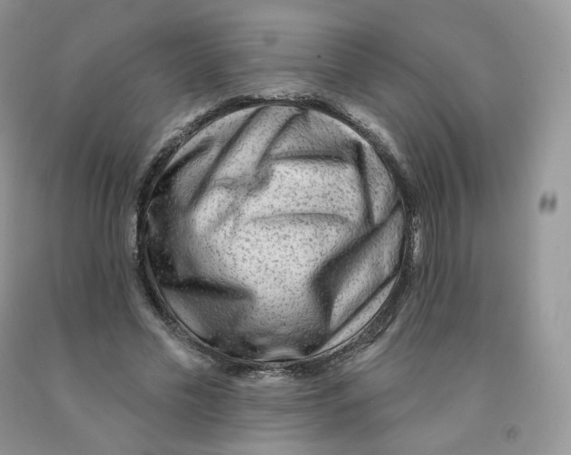 X0000091330589200709071159