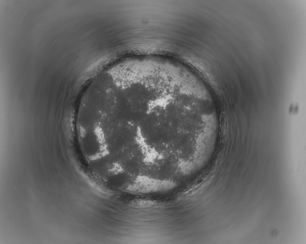 X0000091330590200709071159