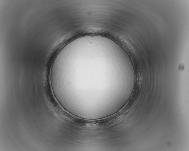 X0000091330591200709071159