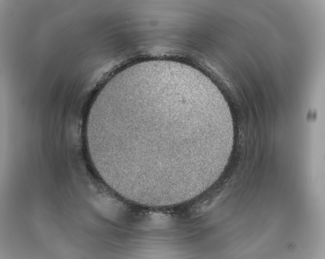 X0000091330592200709071159