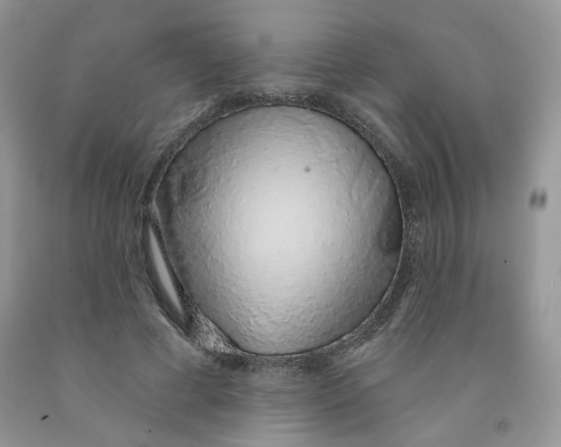 X0000091330593200709071159