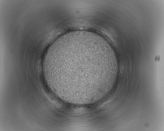 X0000091330594200709071159