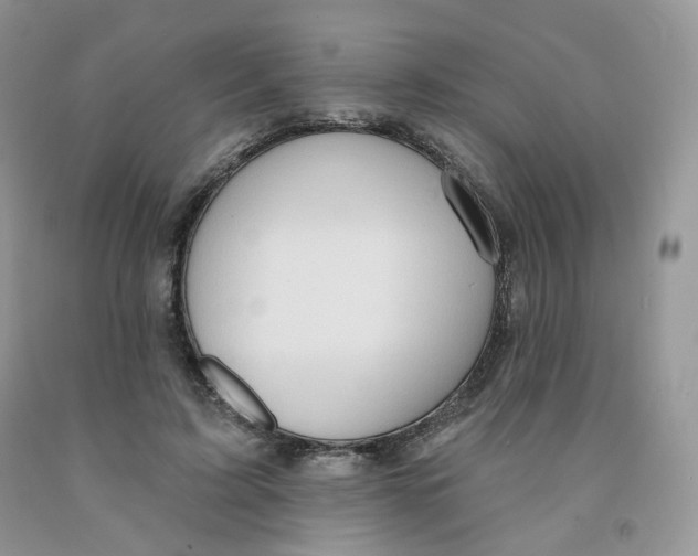 X0000091330595200709071159