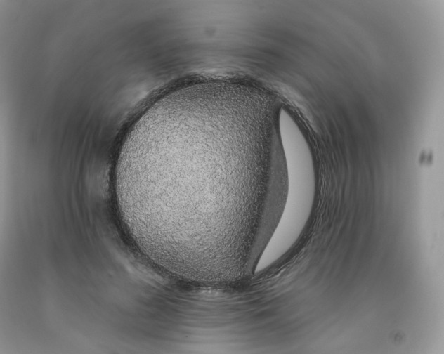 X0000091330596200709071159