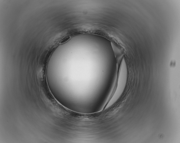 X0000091330597200709071159