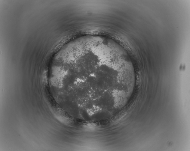 X0000091330598200709071159