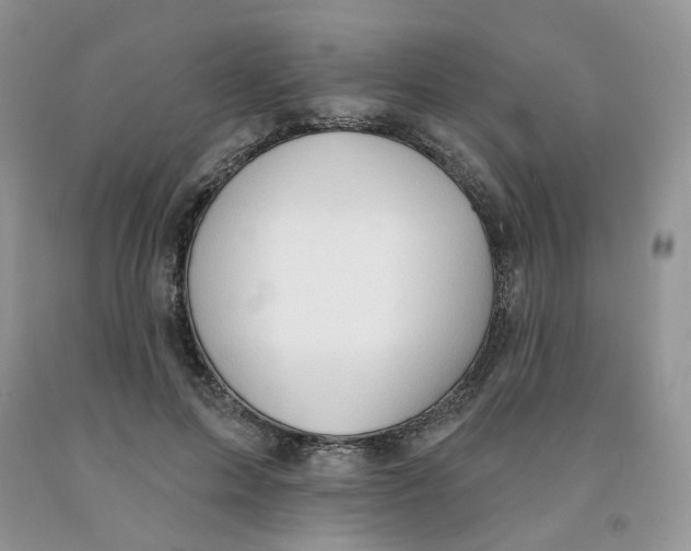 X0000091330599200709071159