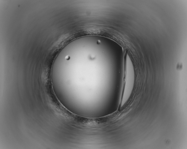 X0000091330600200709071159