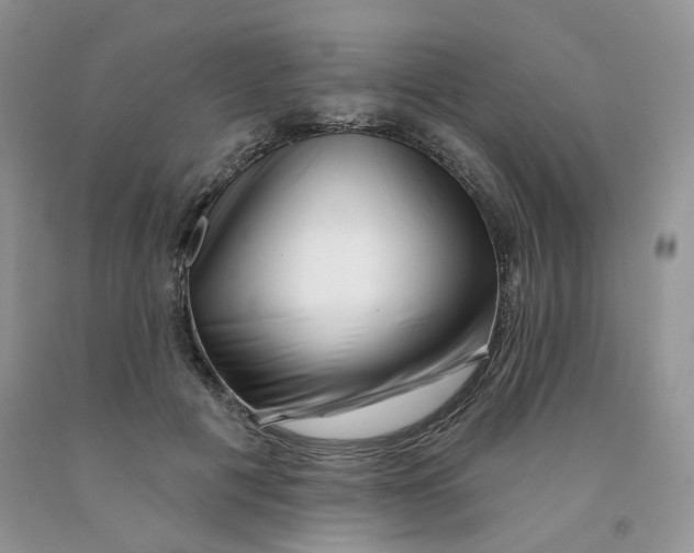 X0000091330601200709071159