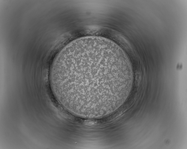 X0000091330602200709071159