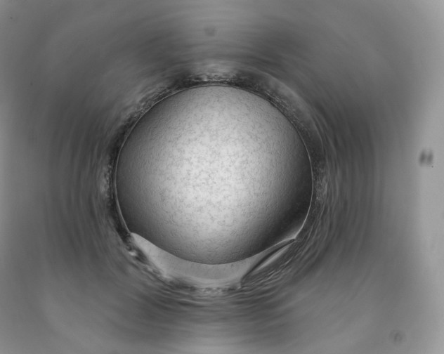 X0000091330604200709071159