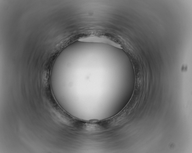X0000091330605200709071158