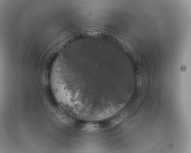 X0000091330606200709071158