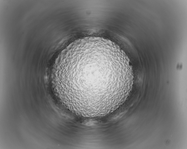 X0000091330607200709071158