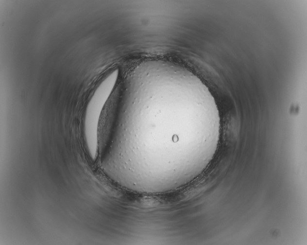 X0000091330608200709071158
