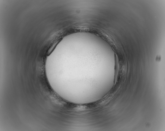 X0000091330609200709071158