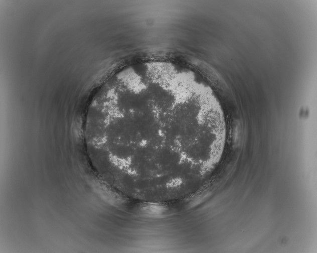 X0000091330610200709071158