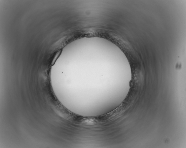 X0000091330611200709071158
