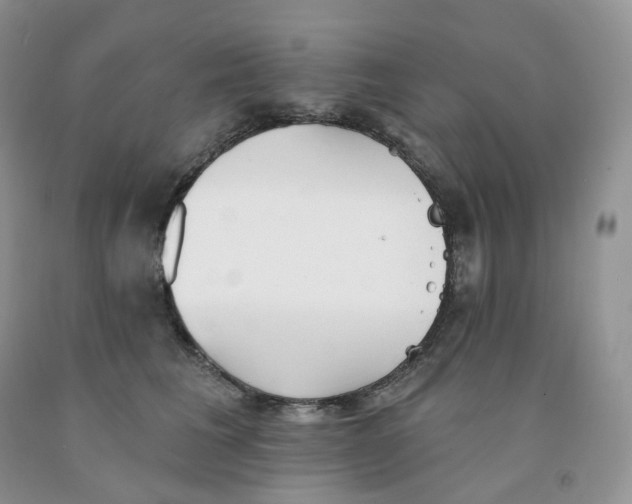 X0000091330613200709071158
