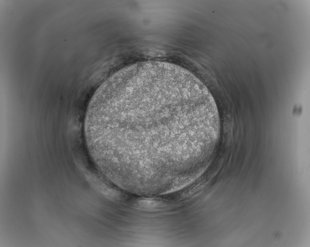 X0000091330614200709071158