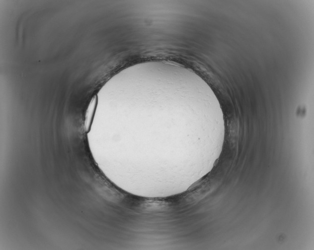 X0000091330617200709071158