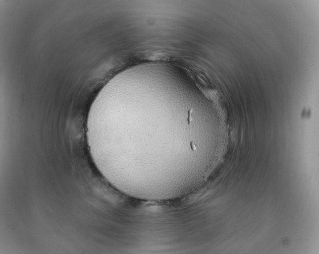 X0000091330620200709071158
