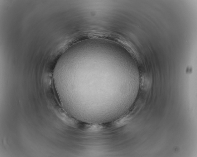 X0000091330621200709071158