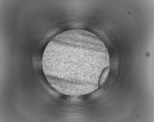 X0000091330622200709071158