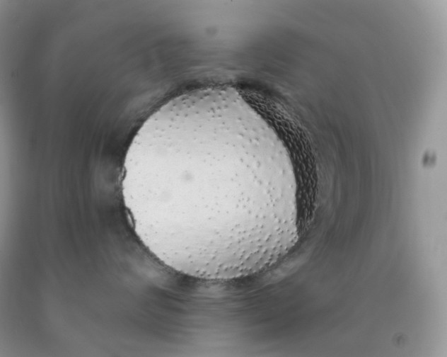 X0000091330624200709071158